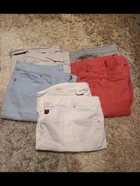 Gloria Vanderbilt Amanda Shorts Lot Of 5 Size 20W